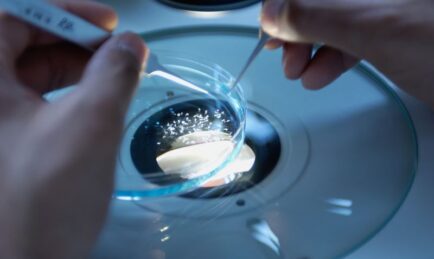 MANTECH wins prime position on $875M IC contract