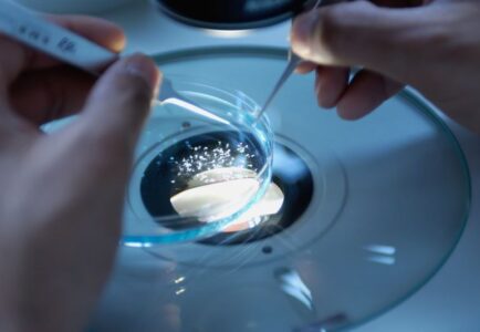 MANTECH wins prime position on $875M IC contract