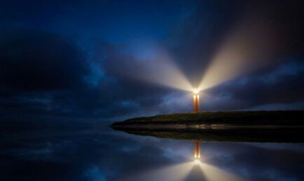 INSA adds new members to board