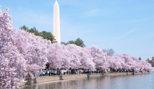 IBM unveils federal-agency focused, Washington, DC-based cyber training facility