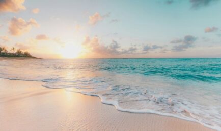 Vibrint solutions assessed “Awardable” for Tradewinds