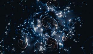 Precise Systems acquires JHT