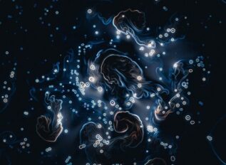 MITRE opens its IP catalog to industry