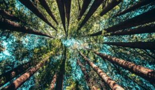 Amber Walker named Parry Labs CGO