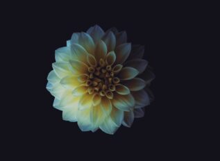 PenLink launches new generative AI platform