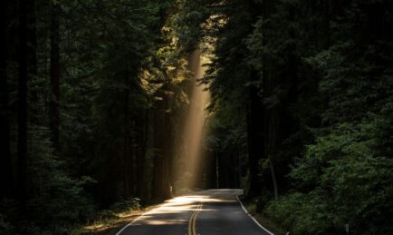 Maura Burns joins Babel Street