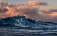 WaveStrong and Carahsoft partner