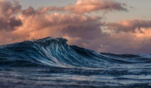 D-Wave and Carahsoft partner