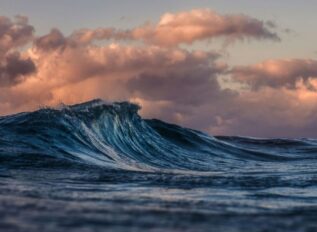 WaveStrong and Carahsoft partner