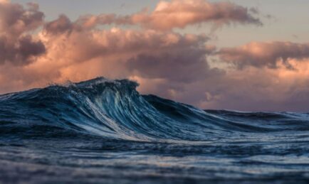 WaveStrong and Carahsoft partner