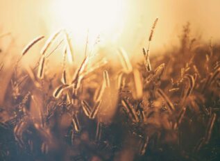 Rancher Government launches Harvester initiative