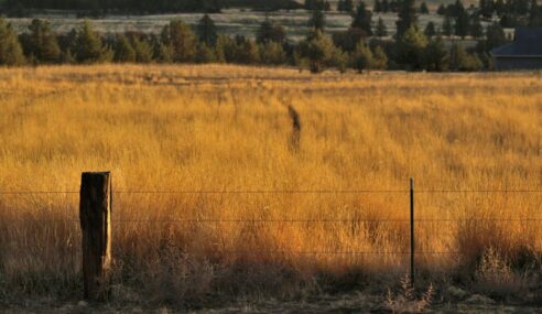 Rancher Government adds Jason Motte as federal account leader