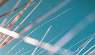 Janes and Carahsoft partner