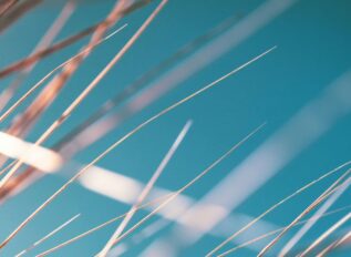 Janes and Carahsoft partner