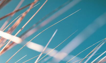 Janes and Carahsoft partner