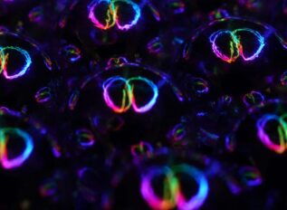 MRIGlobal earns CMMC level 2 certification