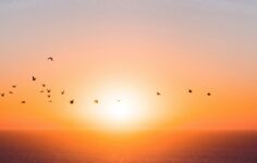 Fortreum acquires Kovr.AI