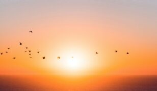 Terran Orbital names Michael Vishion program management VP