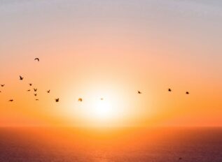 Terran Orbital names Michael Vishion program management VP