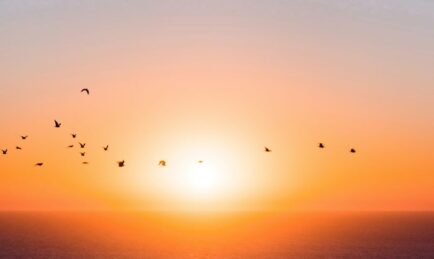 Fortreum acquires Kovr.AI