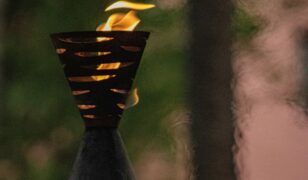 Torch.AI and Carahsoft partner