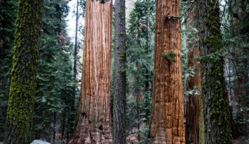 NGA releases SEQUOIA final RFP