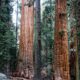 NGA releases SEQUOIA final RFP
