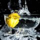 LiquidPiston secures U.S. Army SBIR CATALYST Award