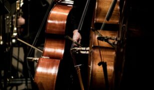 Oceus to develop cyber orchestration platform