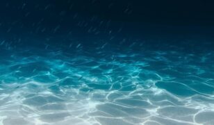 Leidos introduces Sea Dart