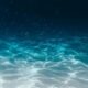 M. Barry Tanner appointed Navy CIO