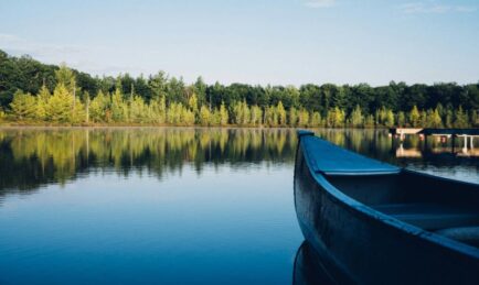 Tricentis unveils agentic quality engineering platform