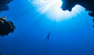 WHS posts AI OSINT Software Support Services RFP