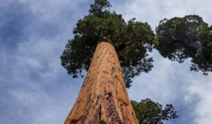 Enabled Intelligence secures NGA SEQUOIA contract