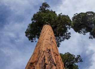 Enabled Intelligence secures NGA SEQUOIA contract