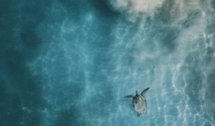 Raft awarded contract for “AOC Anywhere”