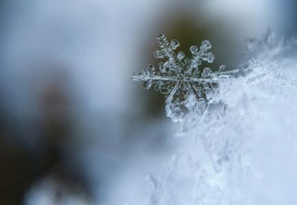 Snowflake listed in AWS ICMP