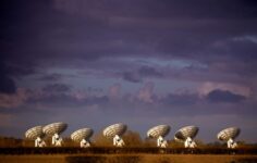 AnySignal wins USSF contract