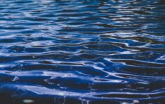 HII and Nominal partner