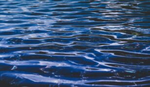 HII and Nominal partner