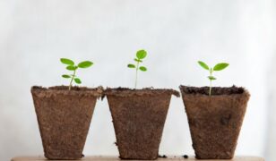 Jason Albanese tapped as Leidos chief growth officer