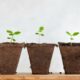 Ted Girard named Everfox CRO