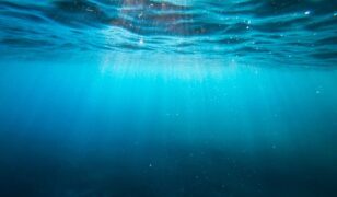 Greg Blue appointed CSA CEO