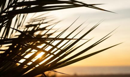 Navy issues RESTORE RFP