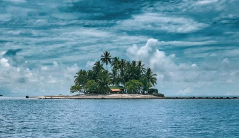 NGA opens BIGISLAND