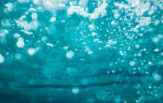 Tharros awarded Navy cyber contract