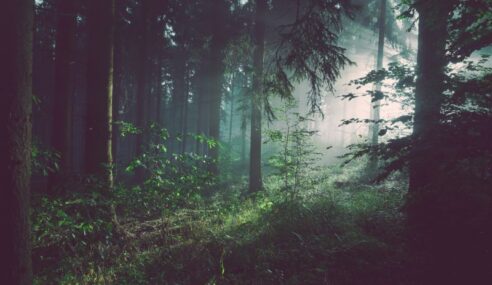 DISA awards Fangorn OTA to World Wide Technology