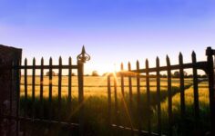 Palo Alto acquires Portkey