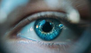 Accrete AI and Carahsoft partner