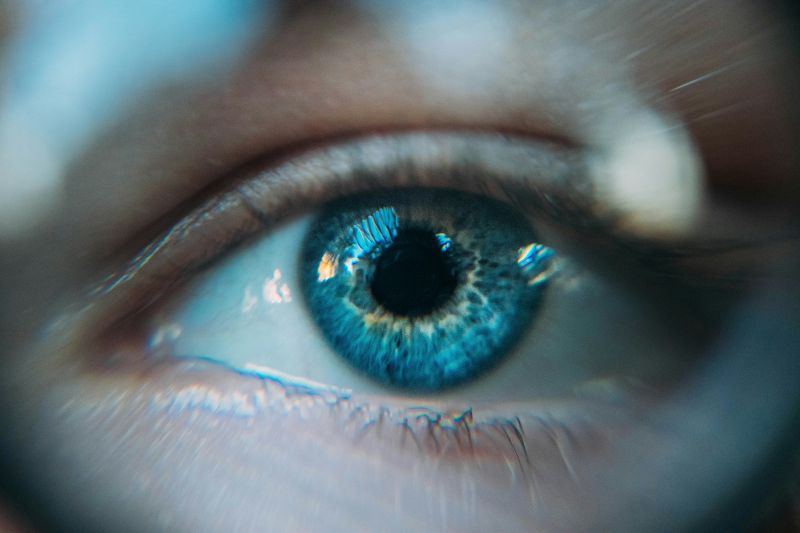 Accrete AI and Carahsoft partner